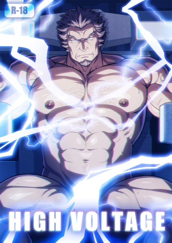 HIGH VOLTAGE cover