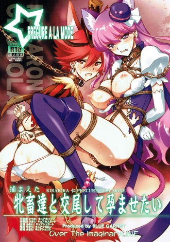 Tsukamaeta Mechiku Tachi to Koubi Shite Haramasetai cover