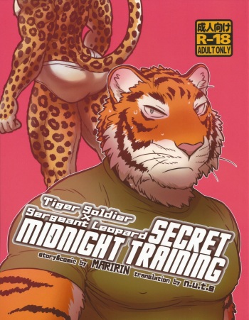 Secret Midnight Training cover