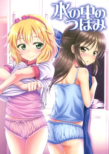 Mizu no Naka no Tsubomi cover
