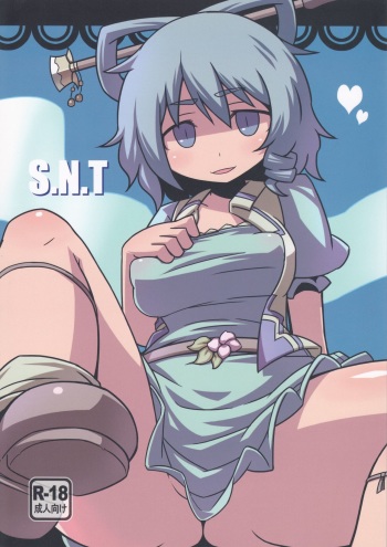 S.N.T cover