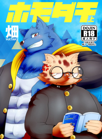 Homodachi Jou cover