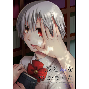 Meguru hoshi o tsukamaeta sample cover