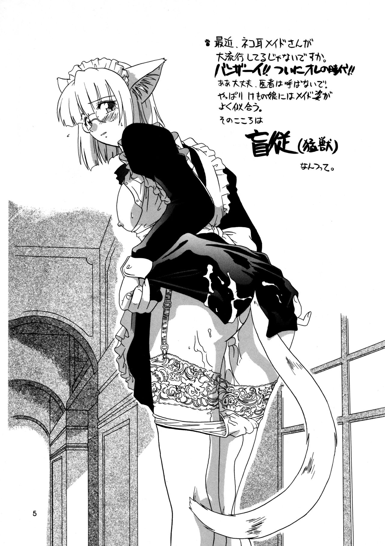 CAZA MAYOR 3 page 5 full