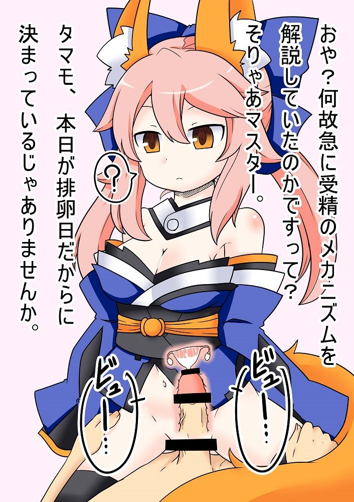 Tamamo to Jusei Kaisetsu Ninshin Play page 9 full