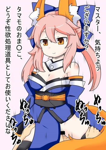 Tamamo to Jusei Kaisetsu Ninshin Play cover