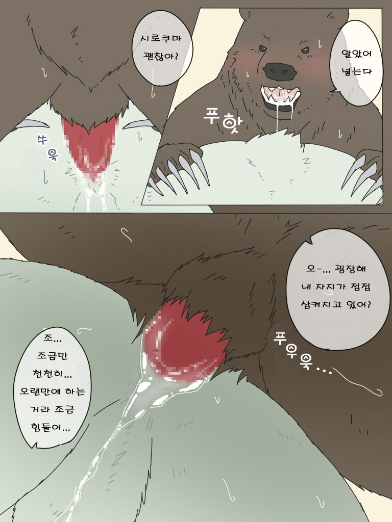 Shirokuma-san to Haiiroguma-san ga Ecchi suru dake | 시로쿠마 씨와 그리즐리 씨가 섹스한 것 뿐 page 9 full