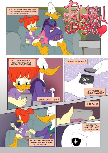 Delightful Duck cover