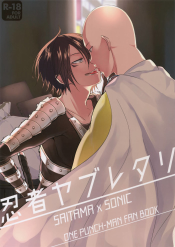Ninja Yaburetari cover
