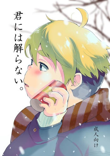 Kimi ni wa Wakaranai. cover