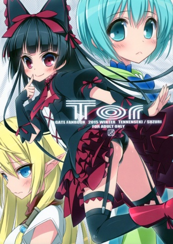 Tor cover