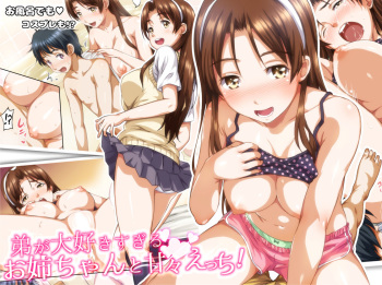 Otouto ga Daisuki Sugiru Onee-chan to Amaama Ecchi! cover