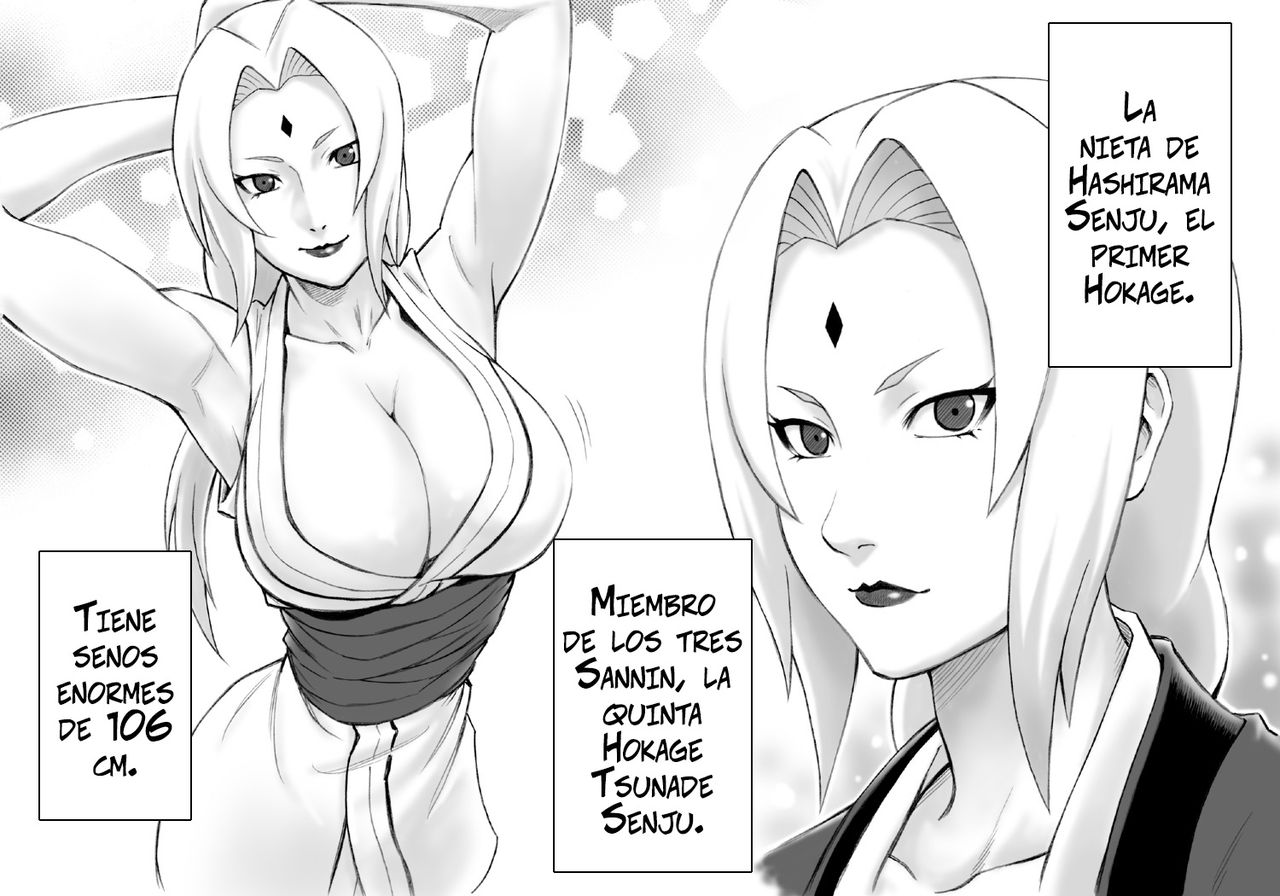 Akogare no Tsunade-sama o Zettai Haramasetai! | ¡Quiero embarazar a Tsunade-sama!   =Vile= page 3 full