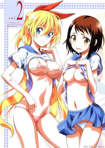 Nisenisekoi 2 cover