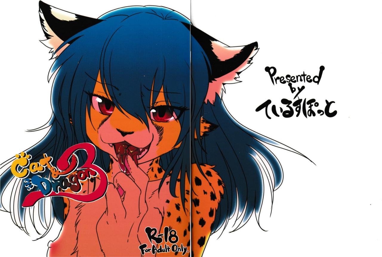 Cat &amp; Dragon 3 page 1 full