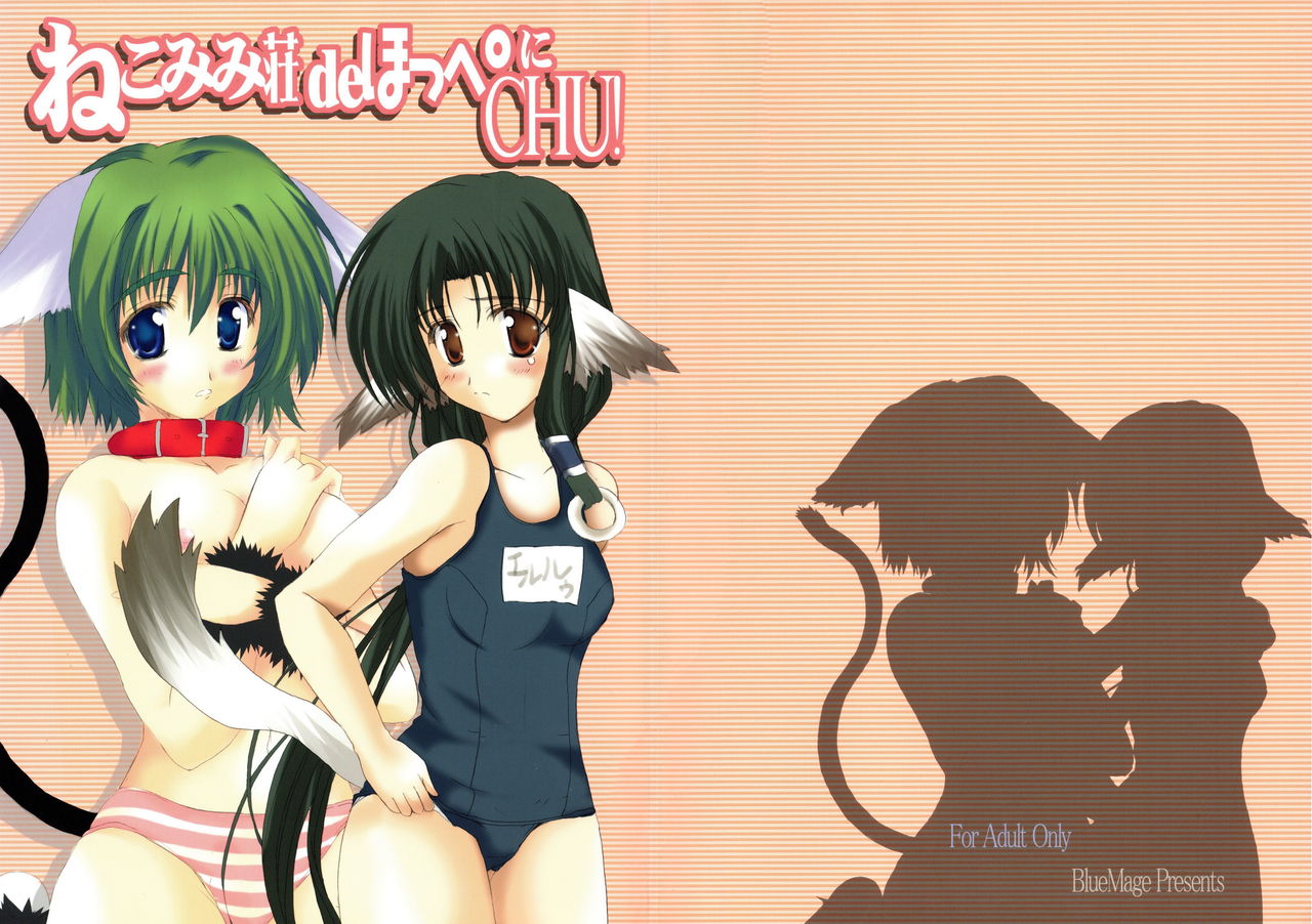 Nekomimi Sou de Hoppe ni CHU! page 1 full