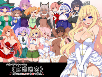 Chokushin Meikyuu Toraware no Elf o H de Sukue cover