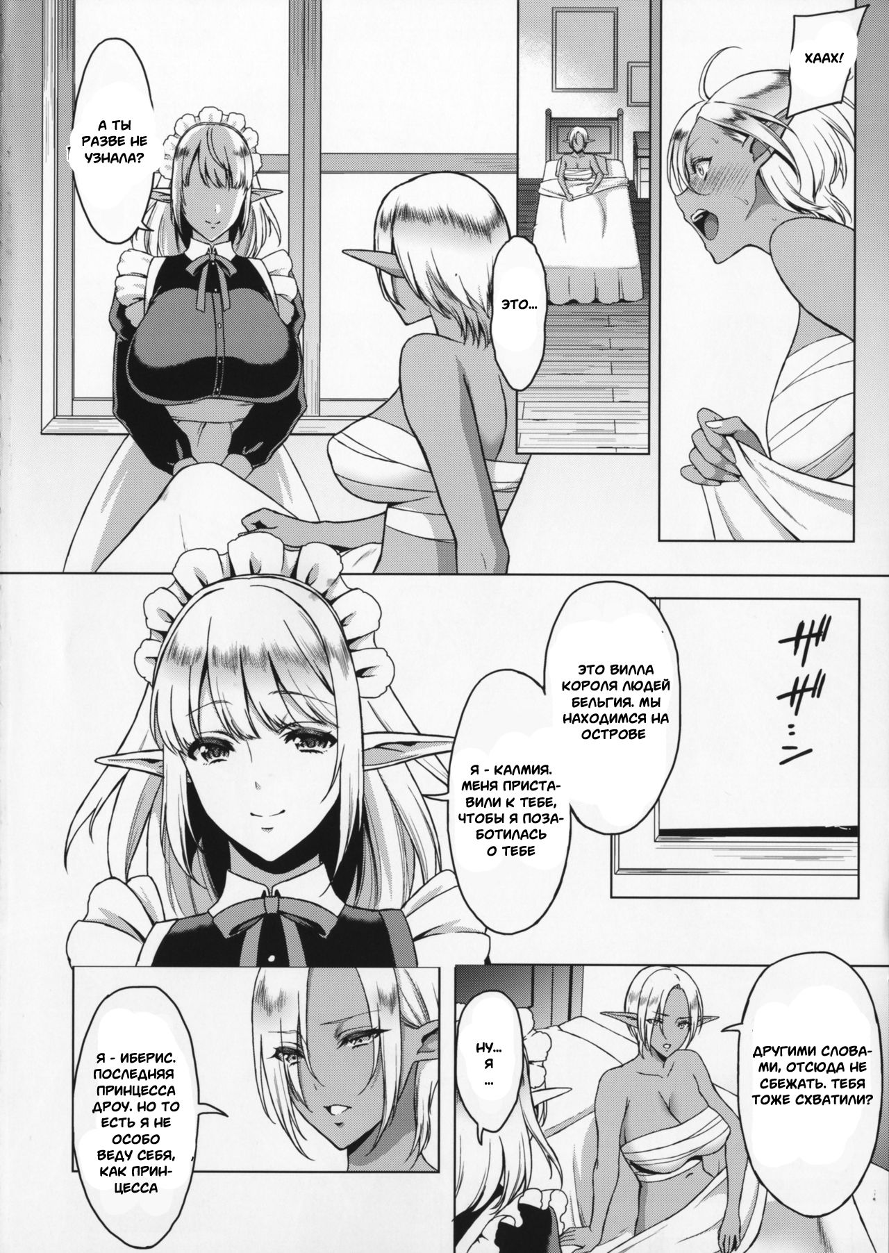Reizoku Elf Maid + C91 Kaijou Genteibon | Elf Maid Slaves page 3 full