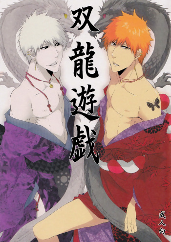 Souryuu Yuugi | Play of the Twin Dragons cover