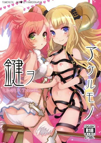 Kagi o Akeru Mono cover