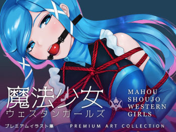 Mahou Shoujo Western Girls Premium Illust Shuu cover