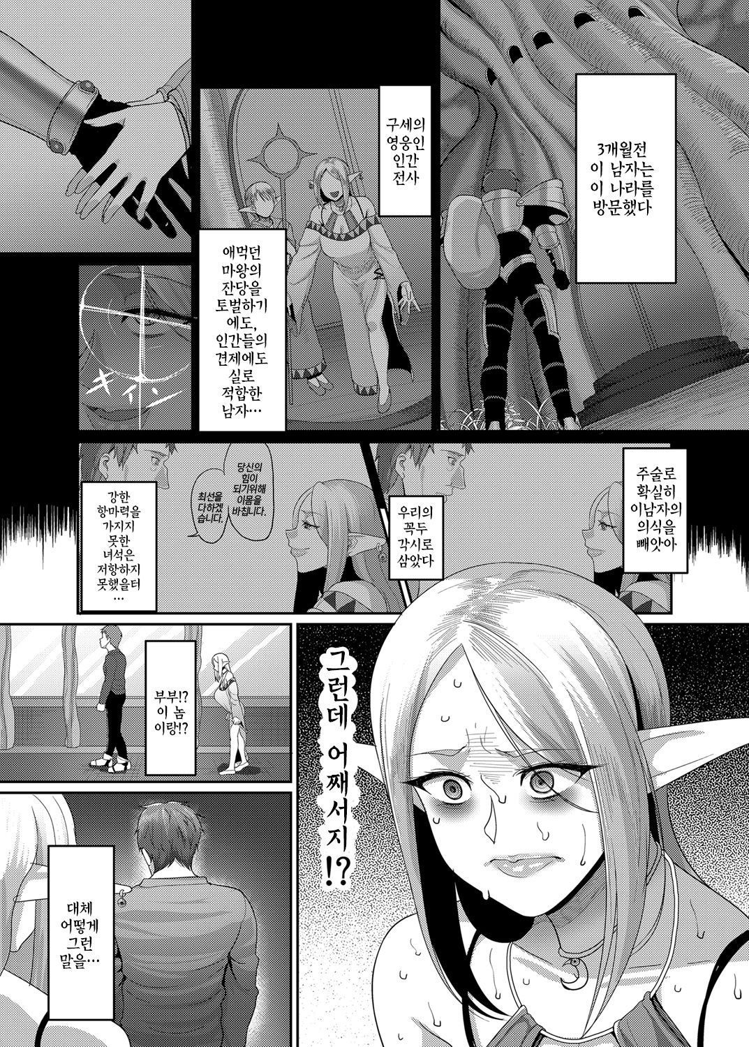 Takabisha Elf Kyousei Konin!! | 고자세 엘프강제혼인!! page 6 full