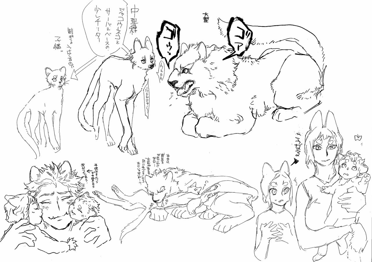 大型猫科男子と中型猫科女子 page 6 full