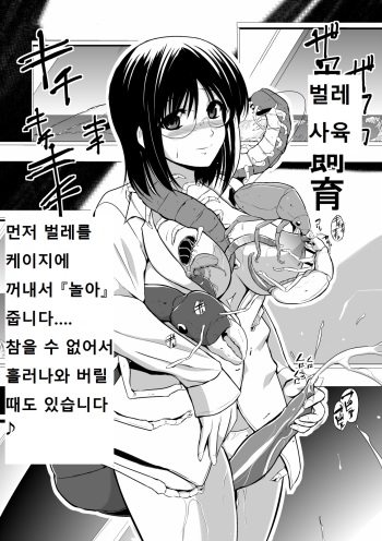 Miijo Mushi no Shiiku cover