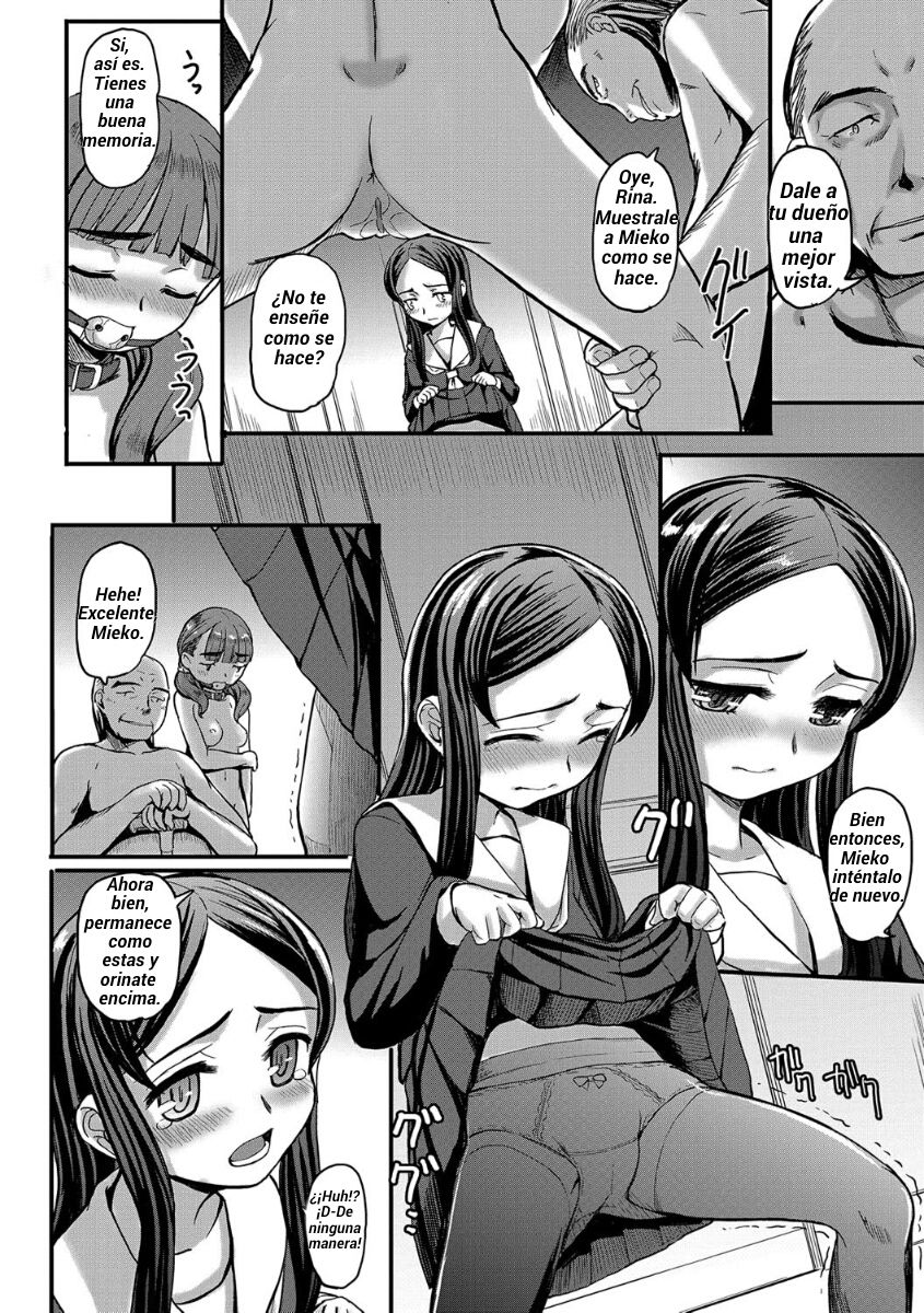 Alstroemeria page 8 full