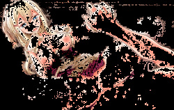 Otogi Frontier R