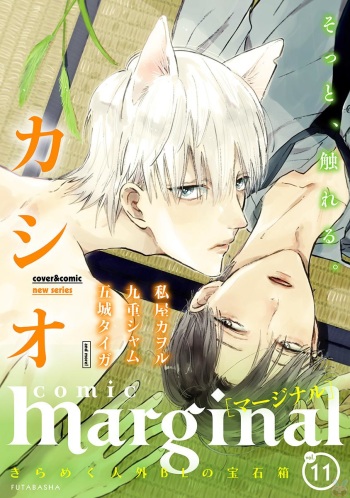 comic marginal vol.11 cover