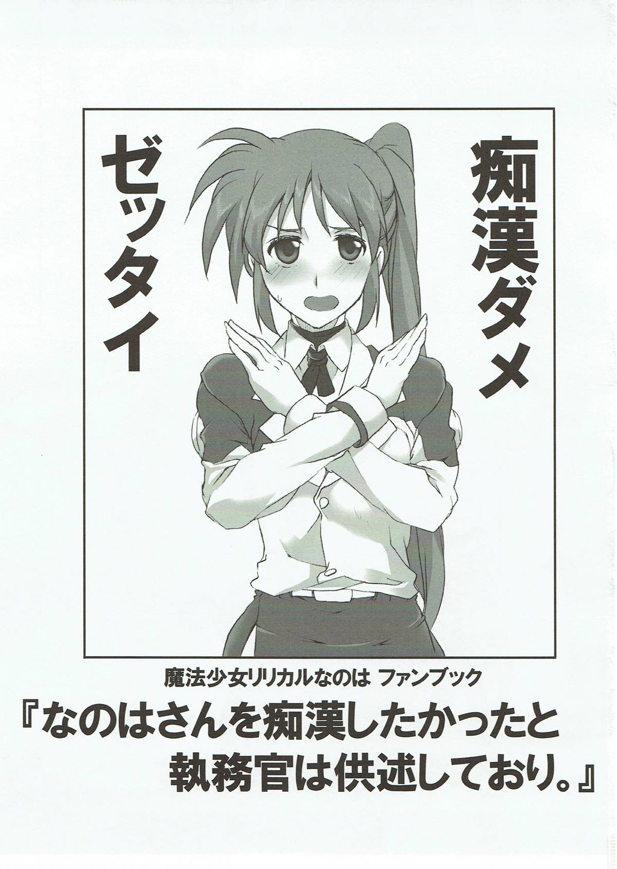 Nanoha-san o Chikan shitakatta to Shitsumukan wa Kyoujutsu shiteori. page 2 full