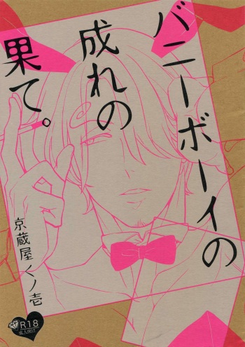 The Ruin of the Bunny Boy. cover