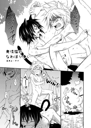 Nekomimi Kikou Manga cover