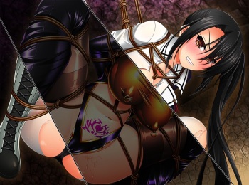 Shibari Nachi cover