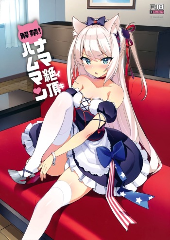 Kaikin! Namaiki Hammann cover