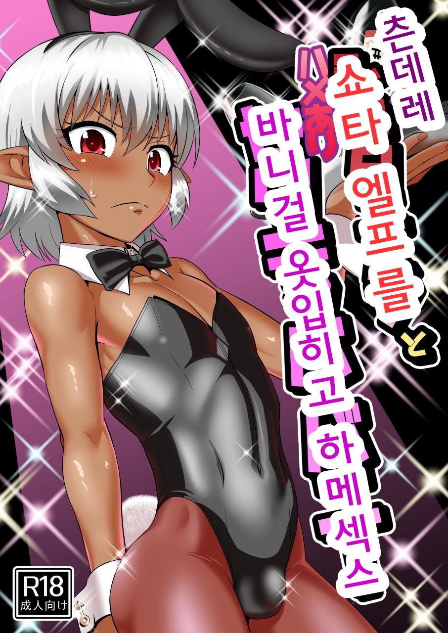 Tsuntsun Shota Elf to Hame Ari Sekukyaba Bunny | 츤데레 쇼타엘프를 바니걸 옷입히고 하메섹스 page 1 full