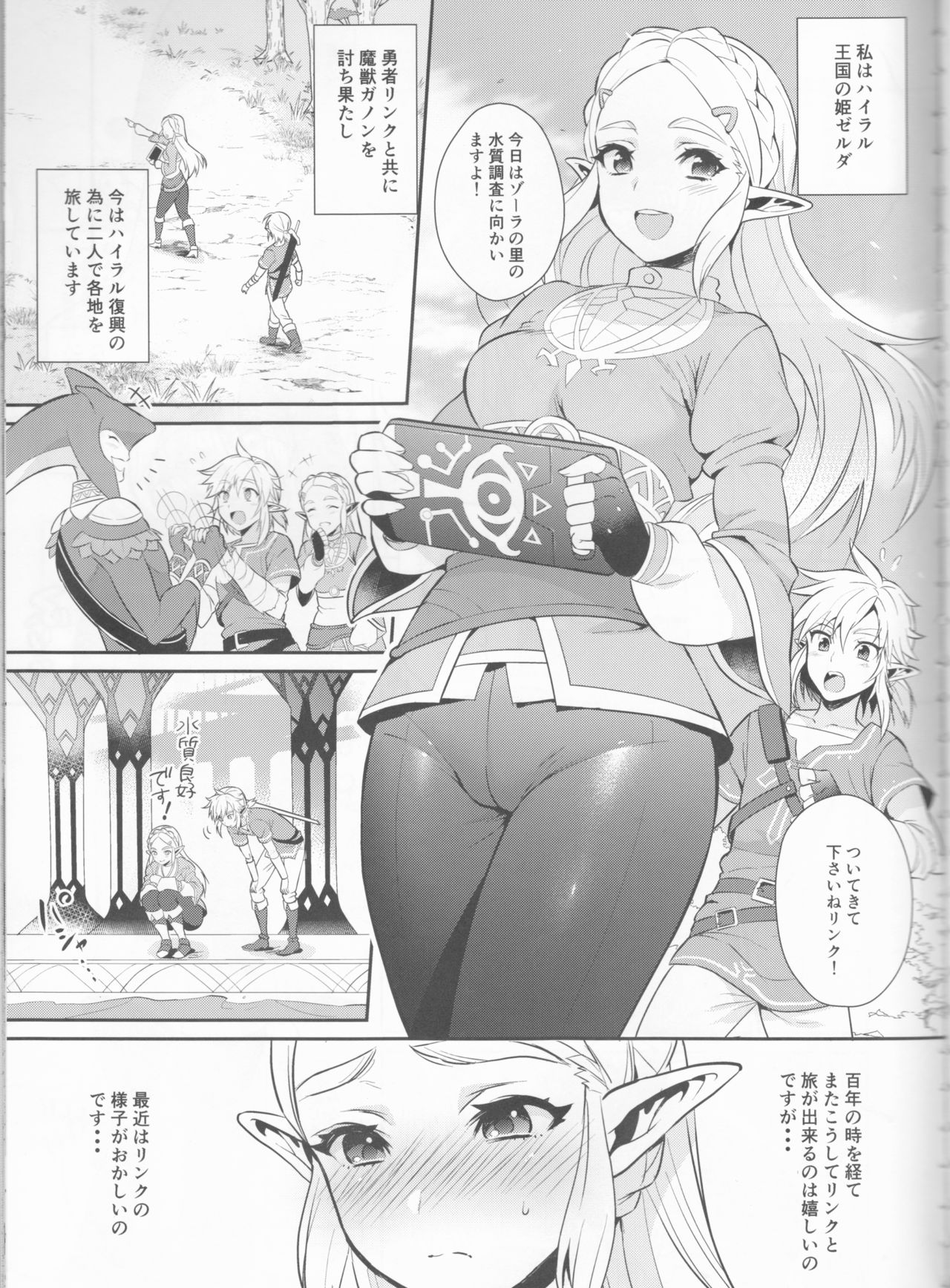 Hyrule Hanei no Tame no Katsudou! page 4 full