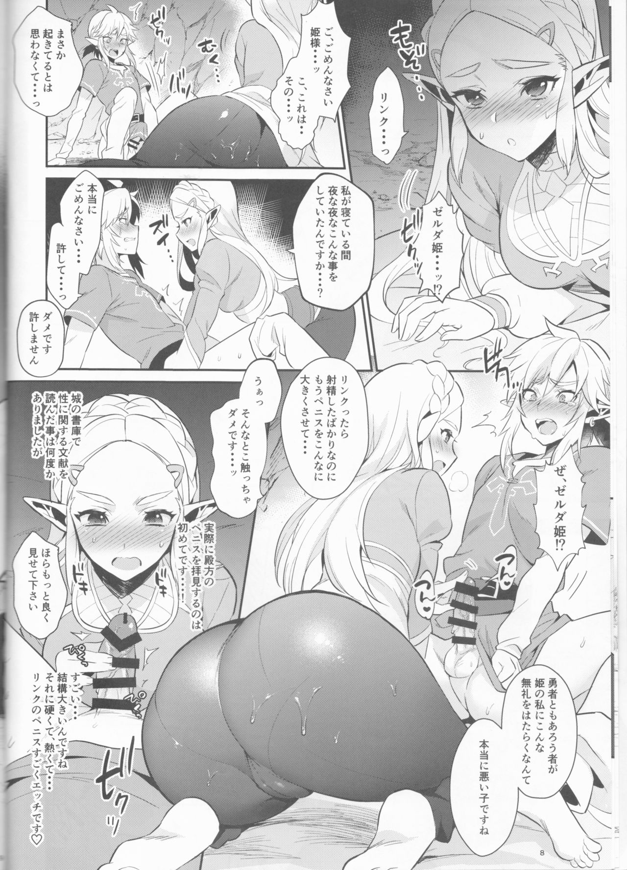 Hyrule Hanei no Tame no Katsudou! page 9 full