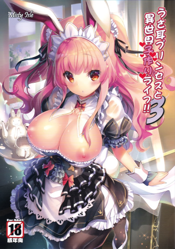 Usamimi Princess to Isekai Kozukuri Life!! 3 cover