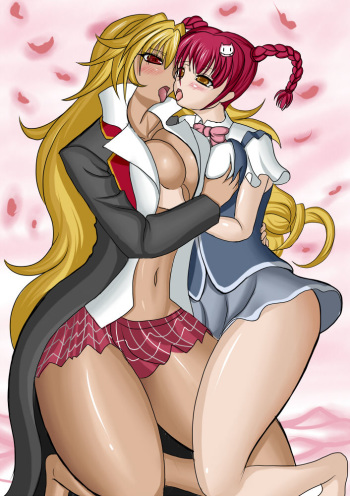 Valkyrie Drive cover