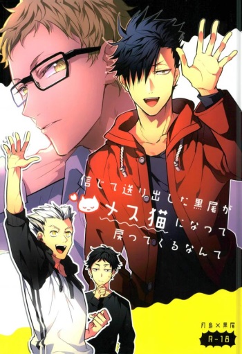 Shinjite Okuridashita Kuroo ga Mesuneko ni Natte Modottekuru nante cover