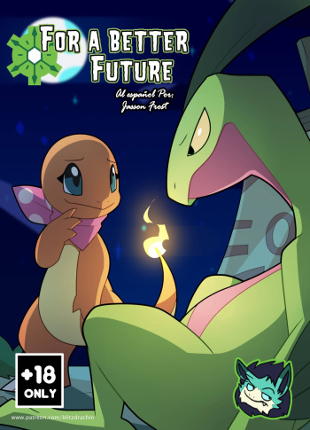 For A Better Future cover