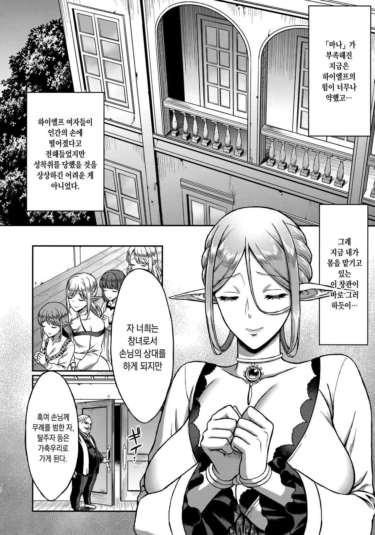 Tasogare no Shou Elf | 황혼의 창엘프 page 9 full