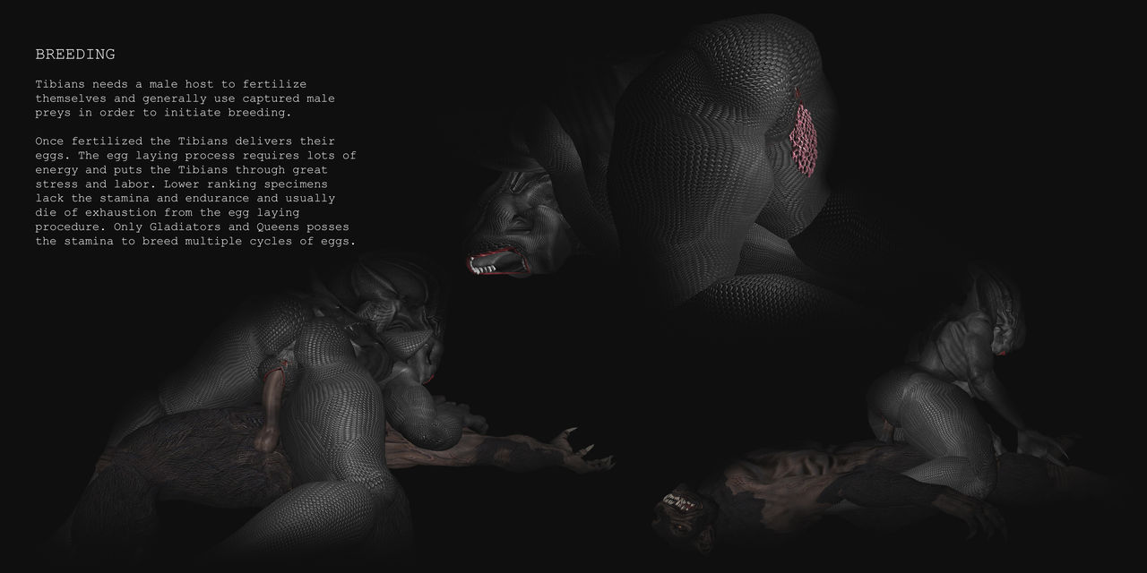 Tibians info by Wocky page 8 full