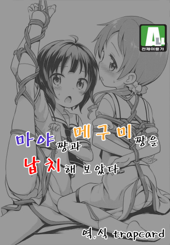 Mameshiba | 마야쨩과 메구미쨩을 납치해보았다 cover