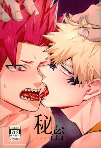 Himitsu SECRET cover