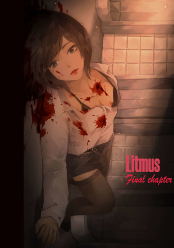 Litmus - Final Chapter cover