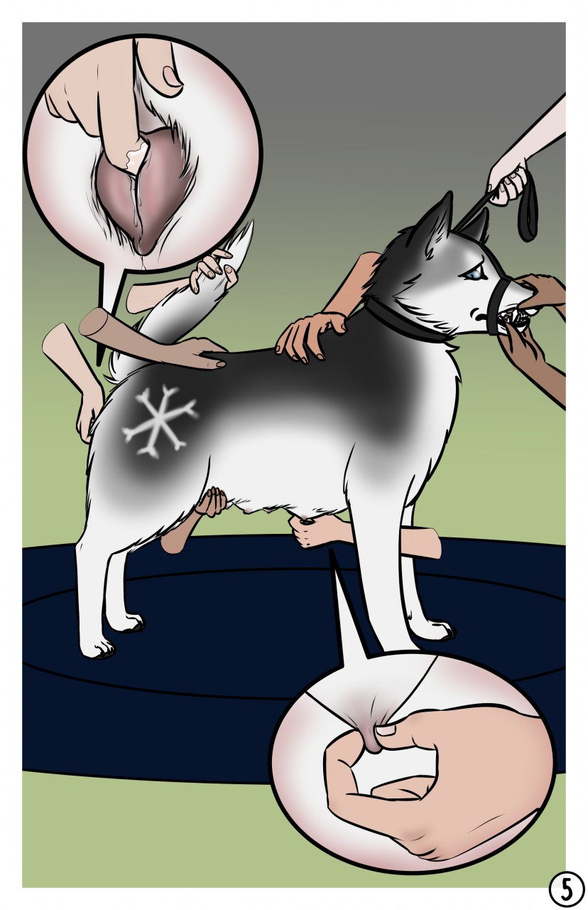 The Dog Show page 5 full
