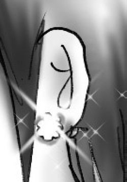 Hanako's Diary